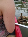 27_Kanutour_23_06_2011.jpg