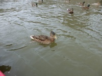 30_Kanutour_23_06_2011.jpg