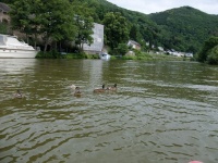 34_Kanutour_23_06_2011.jpg
