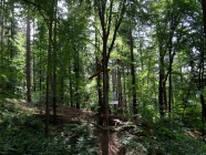 78_Kletterpark_Bendorf_09_07_2011.jpg