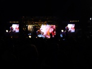218_Rock_am_Ring_02_06_2012.JPG