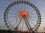 IMG_0775.jpg