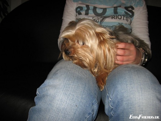 Klicken für Bild in voller Größe