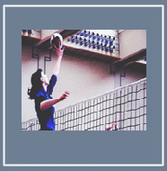 Volleyball